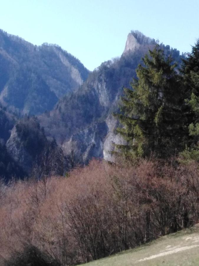 Chata Holica Pieniny Lesnica Extérieur photo