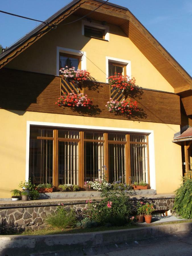 Chata Holica Pieniny Lesnica Extérieur photo