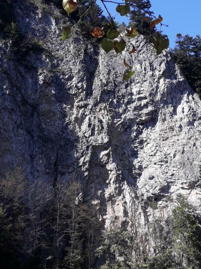 Chata Holica Pieniny Lesnica Extérieur photo