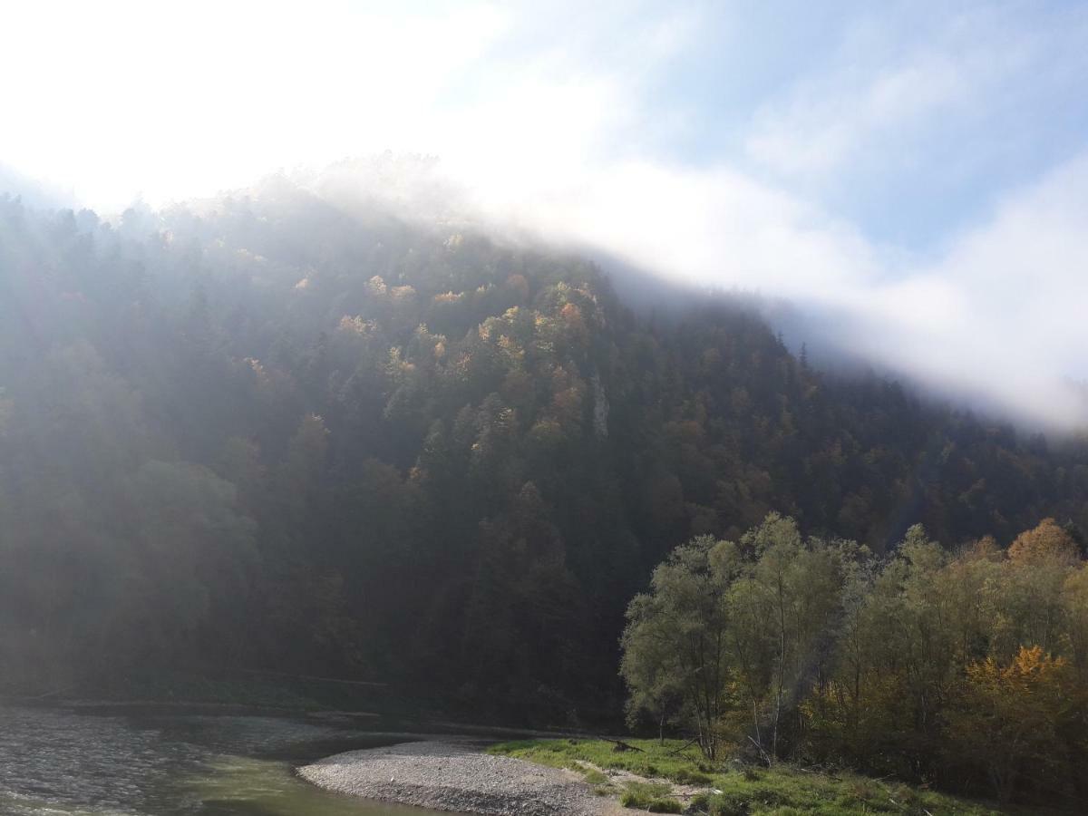 Chata Holica Pieniny Lesnica Extérieur photo