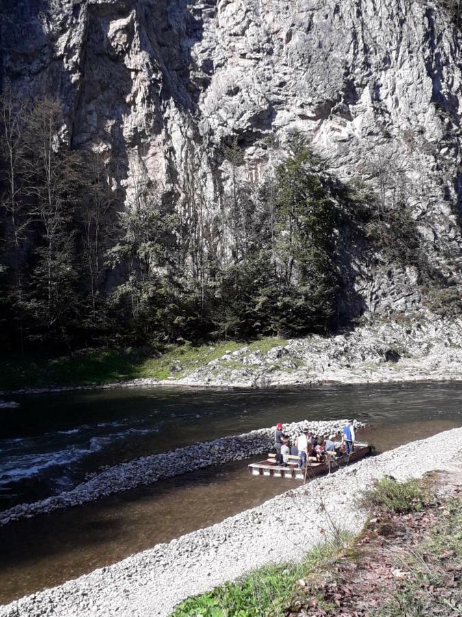 Chata Holica Pieniny Lesnica Extérieur photo