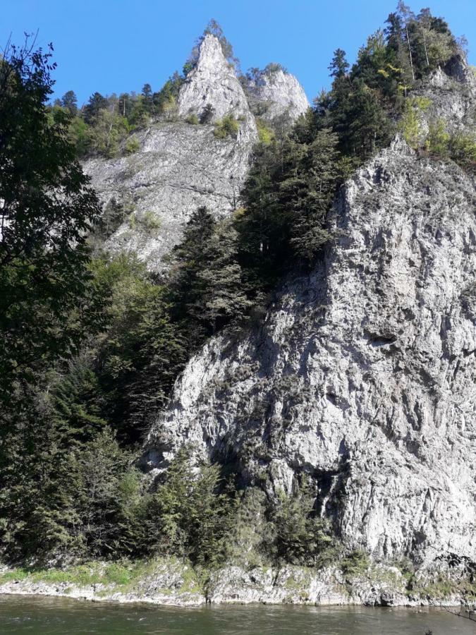 Chata Holica Pieniny Lesnica Extérieur photo