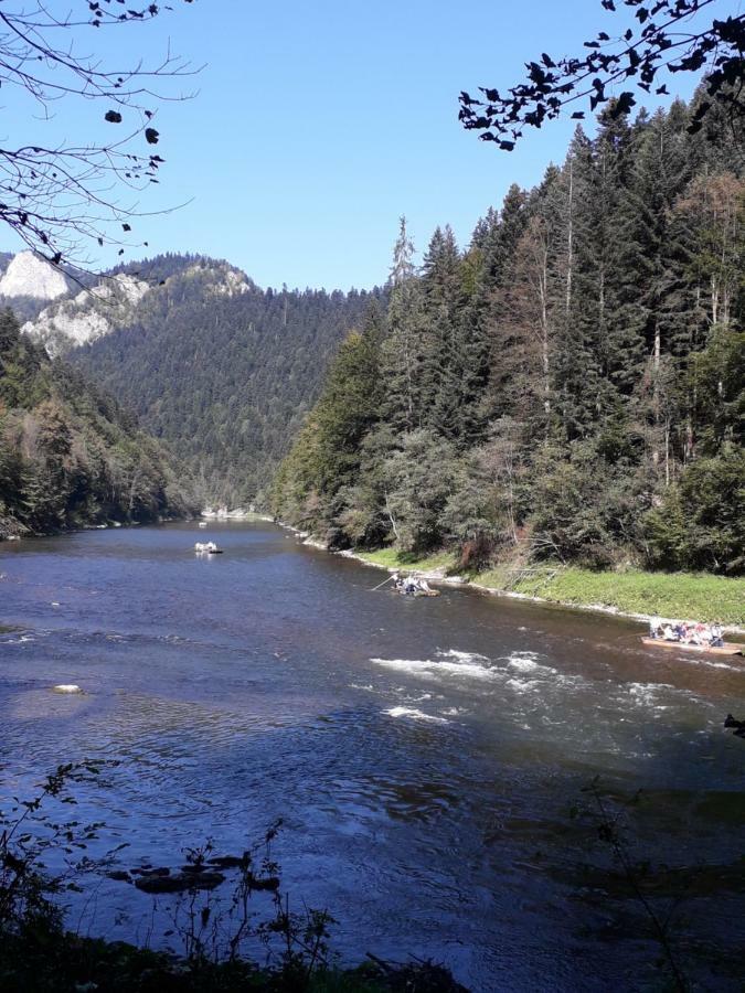 Chata Holica Pieniny Lesnica Extérieur photo