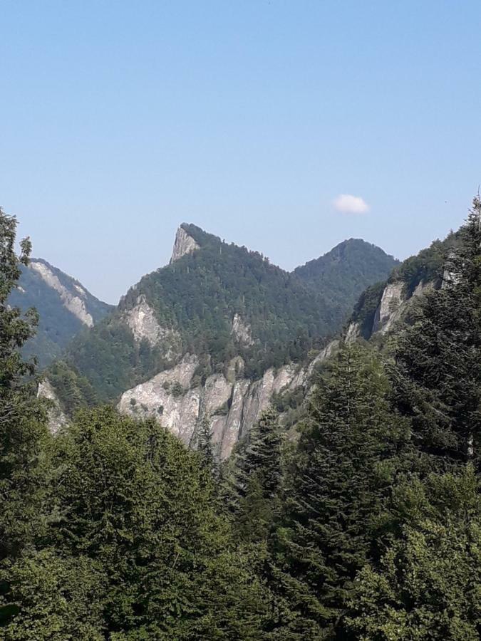 Chata Holica Pieniny Lesnica Extérieur photo