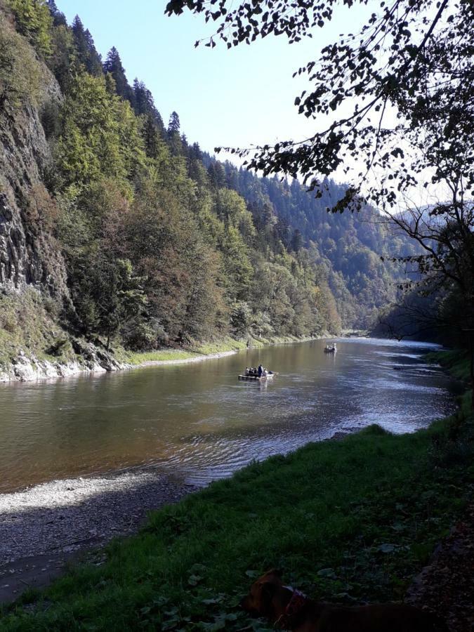 Chata Holica Pieniny Lesnica Extérieur photo