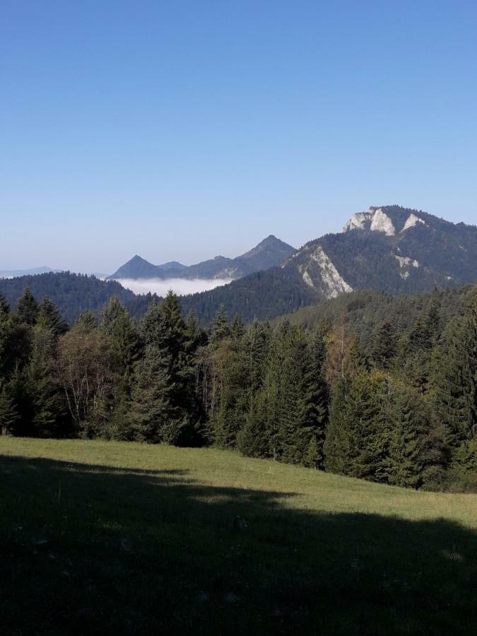 Chata Holica Pieniny Lesnica Extérieur photo