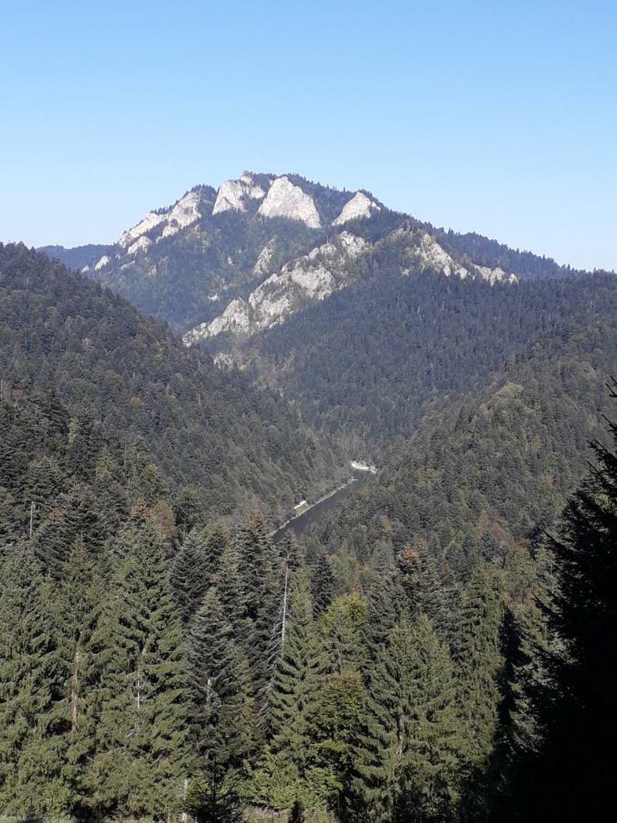 Chata Holica Pieniny Lesnica Extérieur photo