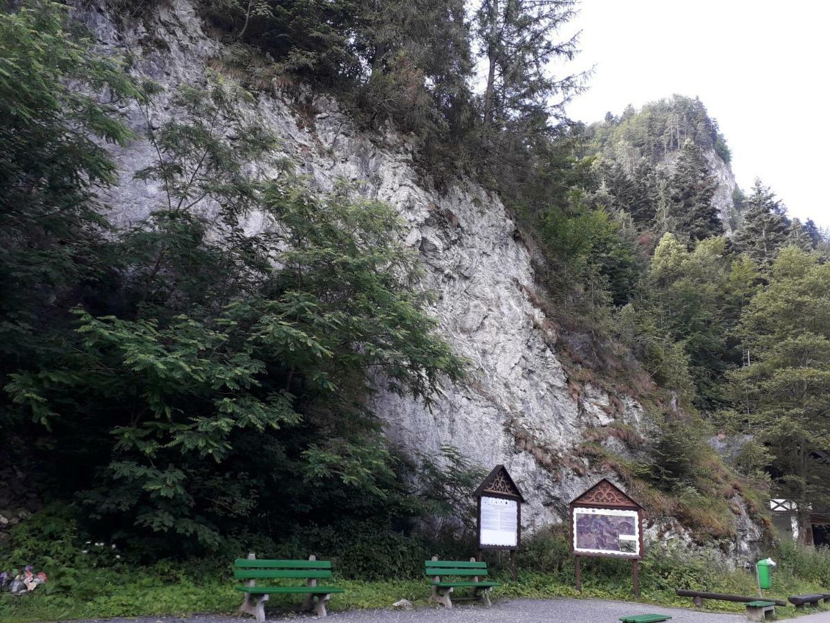 Chata Holica Pieniny Lesnica Extérieur photo