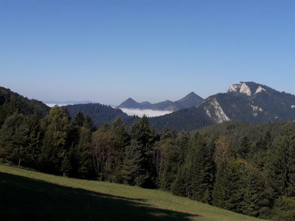Chata Holica Pieniny Lesnica Extérieur photo