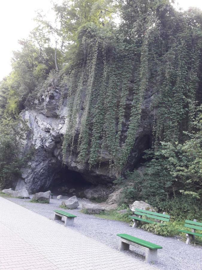 Chata Holica Pieniny Lesnica Extérieur photo